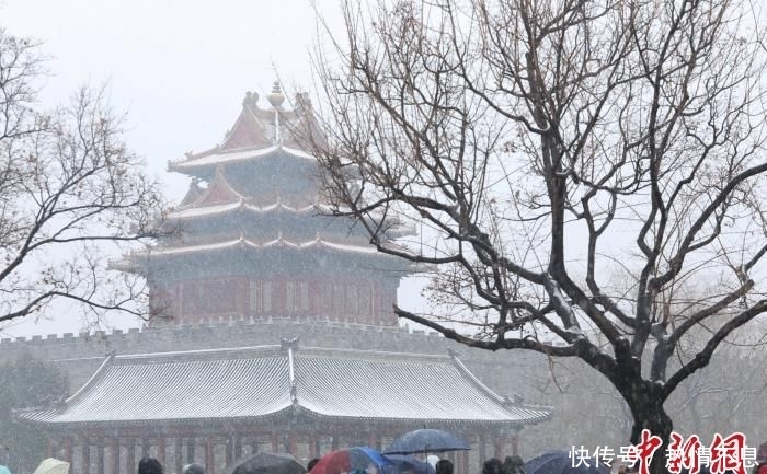  「二场雪后」北京迎来今冬第二场雪 市民纷纷拍照留念