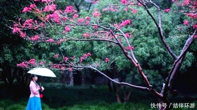 去了珠峰才知道, 这里的路标是“尸体”;去了泸沽湖才知道, 女儿