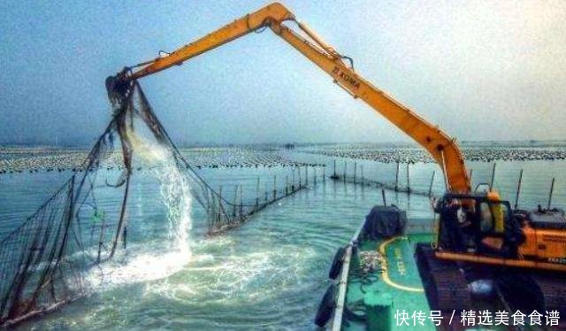 农村环保又出新规，5类东西将被禁用，快看你家有没有