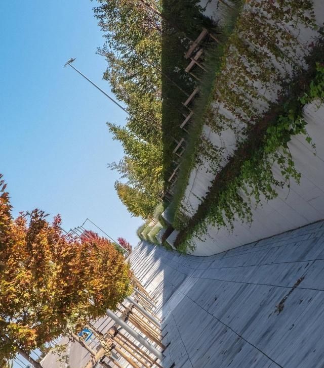 10张创意照片告诉我们，再平常的事物，换个角度看，都会很奇妙