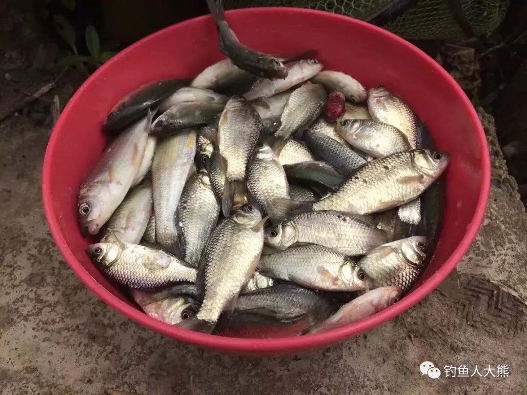  「鱼饵」初春碰到这几种“坏天气”别钓鱼，空军是注定的，鱼饵再好都没用