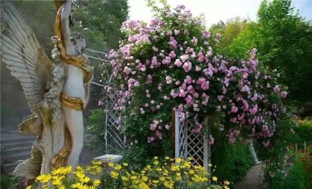 66岁大叔，8年时间打造出了中国最美私家花园，让人叹为观止！