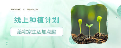 计划■【云种植】春暖花开,你还欠孩子一个春天计划~