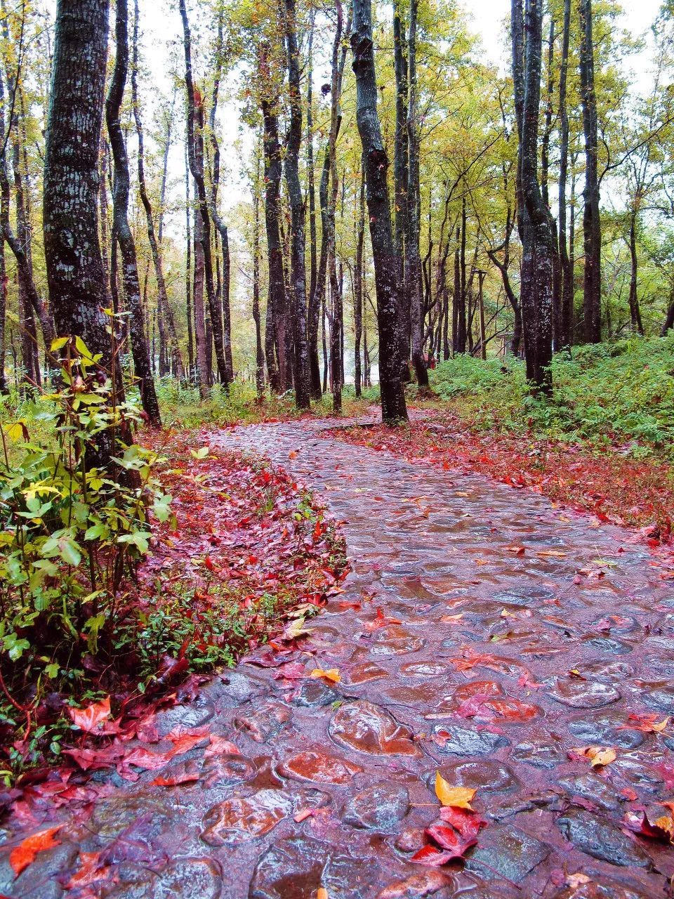 10个藏在深山人不知的古村落，却是世外桃源