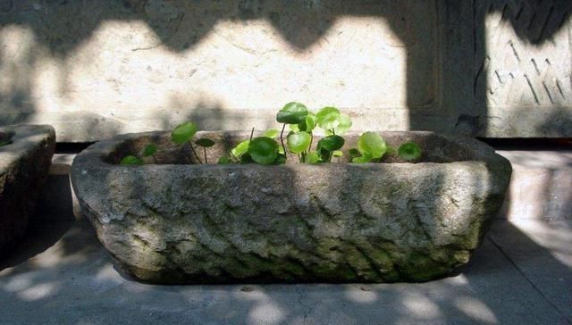  「庭院」农村这些消失的老物件，个个都是宝贝了！放在庭院里养