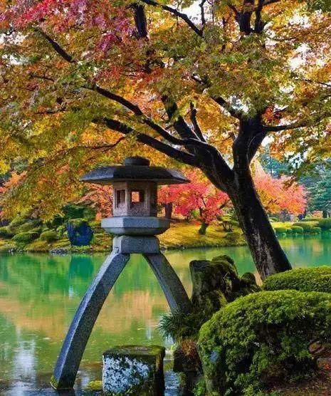 诗意心境，禅意鱼池，你所不知道的佛系庭院