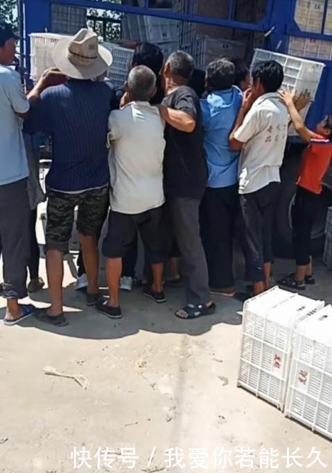 实拍拉货车刚一进村，货筐就遭到村民哄抢，不然水果就烂树上了