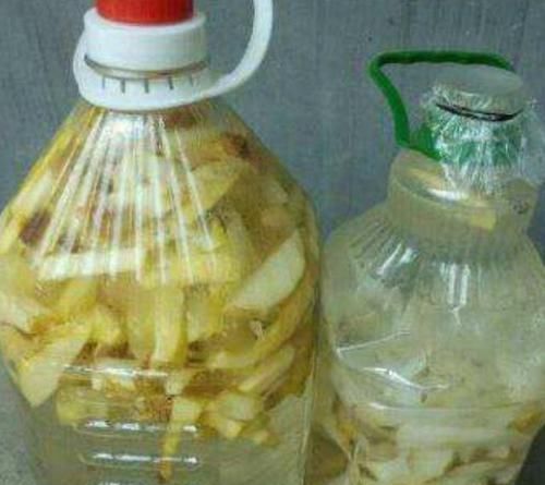  [酸水]杜鹃、栀子、茶花，南花北养爱黄叶，三种“酸水”能改善