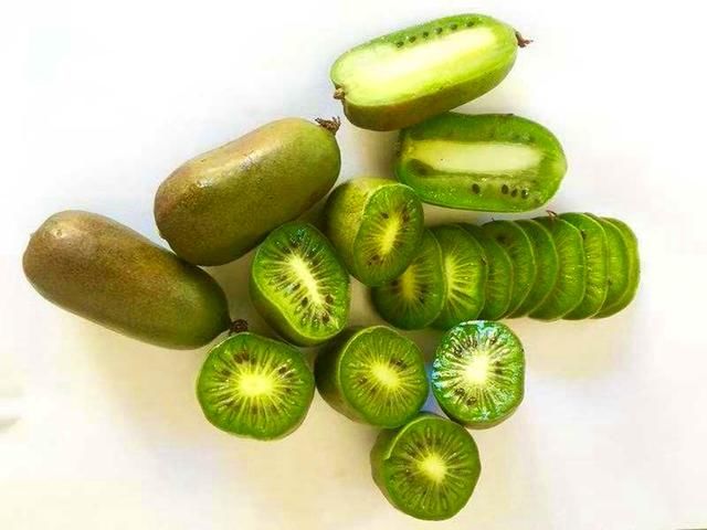 农村又一“新兴”奇异宝树，根、茎、叶都是良药，果卖50元一斤!