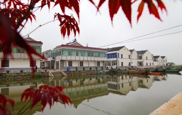 在农村也能“暴富”？未来这2种职业将会很吃香！就看你做不做