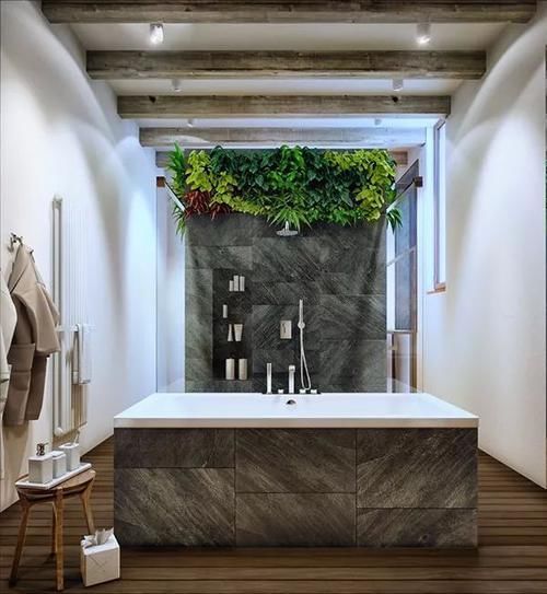  室内植物墙■墙上“种”植物，竟如此好看？