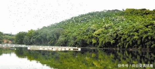  【高速】广西这个县厉害了! 高速公路贯通全县乡镇, 县域经济腾