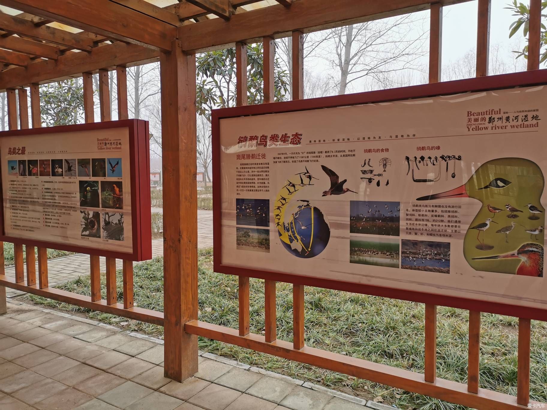 春晚歌曲母亲河