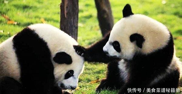 国内发展最好的新一线排名远超重庆天津，即将成为世界一线城市