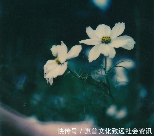 金刚经解释如何诵读金刚经