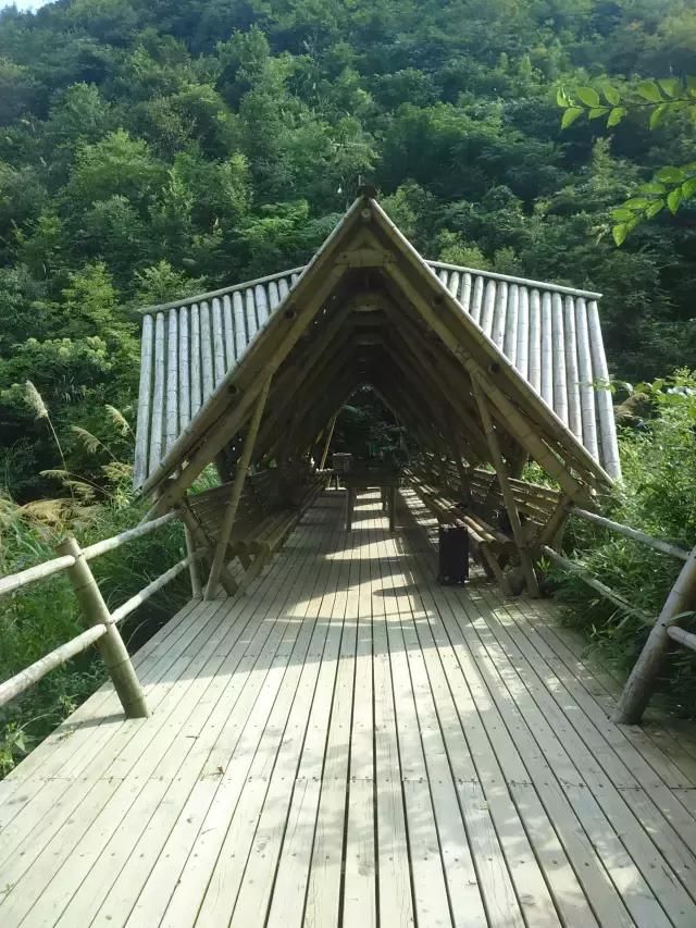 他在杭州打造了一个全中国最美的猪圈！纽约时报都报道了