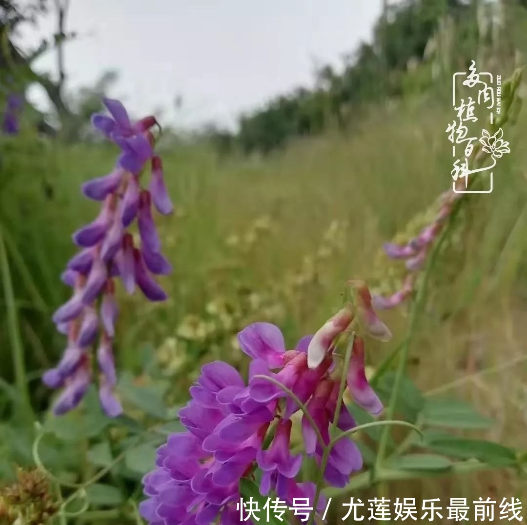  『那种』我爱的，就是你的存在！只要努力该来的都在路上！