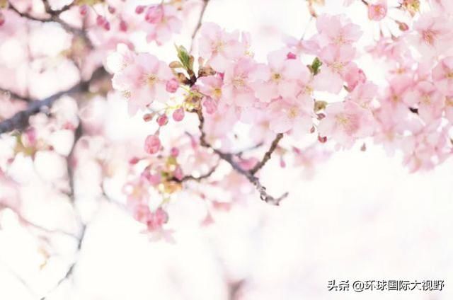 今年除夕可不一般，正好赶上了立春，下一次要等到 2057 年！