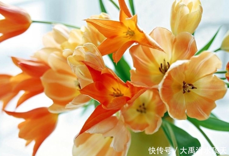 气质:天生就是万人迷的3生肖女,高颜值有气质,美出新高度