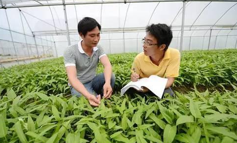  「汽车」若干年后这三样很有价值，每个村庄和农民都有，并非是