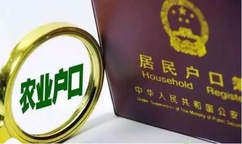  「条件」农村户口“迁出容易、迁回难”？满足这五个条件可以将