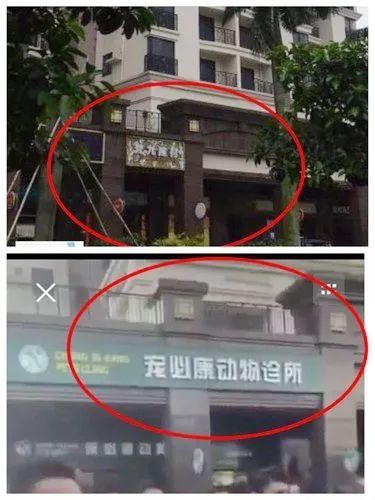 网传“芜湖城管打人视频”找到真凶!打人者为广州保安!