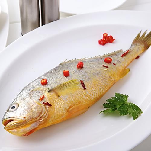  在海边■国内最贵的鱼，农民曾经吃到，如今却要几千元一斤