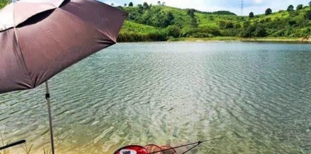  [实用]夏季激流勇钓鱼获佳 三种简单实用的方法帮你轻松应对走水