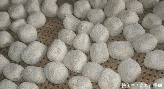 河边比辣椒还辣的野草，很多农民当杂草除掉，殊不知是天然酒曲