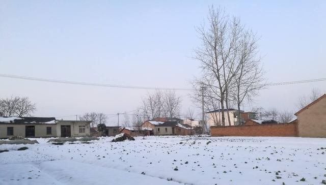  #句俗语#农村老话“腊月有三白，猪狗也吃麦”，啥意思，“三白