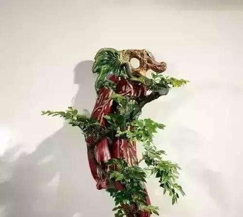  [艺术性]新型盆景形式！你见过在墙上的盆景吗，装饰感更强艺术性更浓！