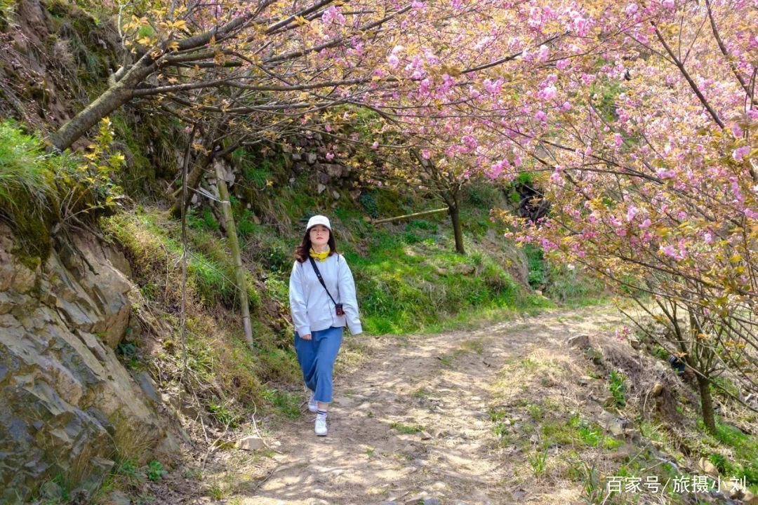  「游客」倒计时8天！清明小长假这13条小众宝藏线路，景色好，游客少！