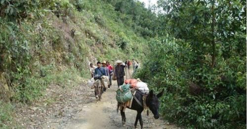  「面子」为什么有些农村人喜欢把房子建造在公路两边？这样更有