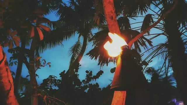 这个海岛马上大火，趁着便宜~你真的不来看一看吗?