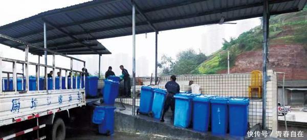 中国最恐怖工厂，竟然养了60亿只蟑螂，老外：中国人太聪明