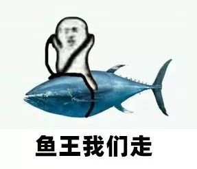 三亚渔民抓到一条鱼，有人出价92888元！它稀奇在哪？