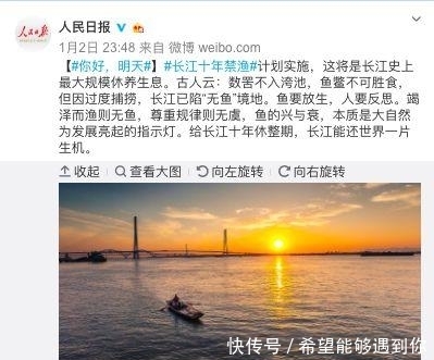  中华鲟|又一个物种灭绝，中国淡水鱼之王未能跨入2020……