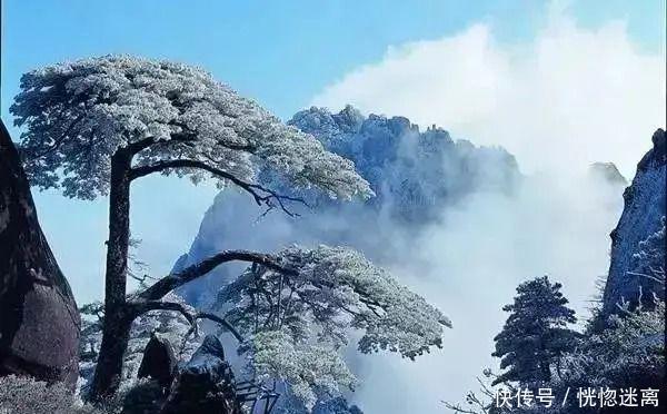 雪景，雪景，美的雪景！