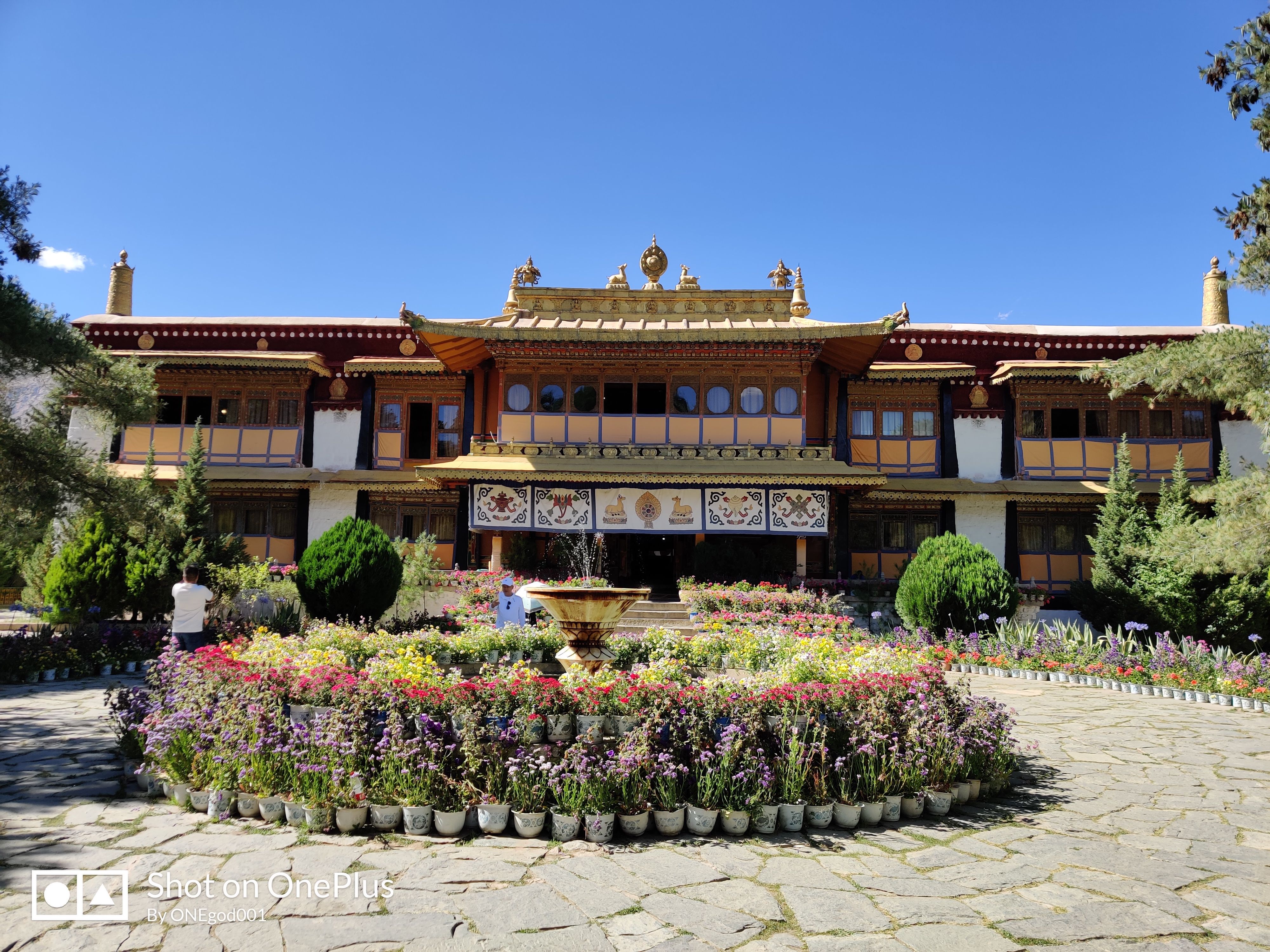 川进青出，十五天三省，318全线，冰川、湖泊、雪山探秘之旅。