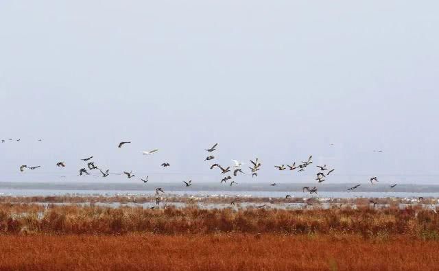  「重启」不能重启的2020，接下来的日子在天津要这样过！