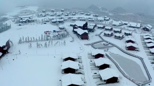 重庆公交车儿童免票身高线涨到1.3米丨记者起底重庆“权健火疗”