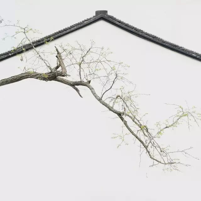 庭院深深，中式庭院 · 怡然自得