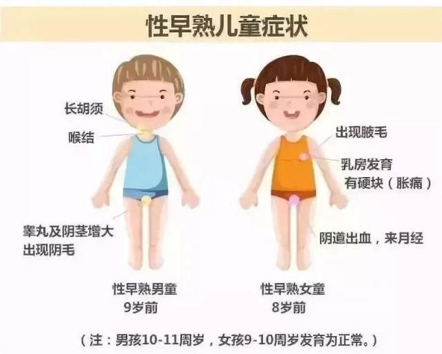 “毒书皮”强致癌、或致儿童性早熟？是谣言还是确有其事？