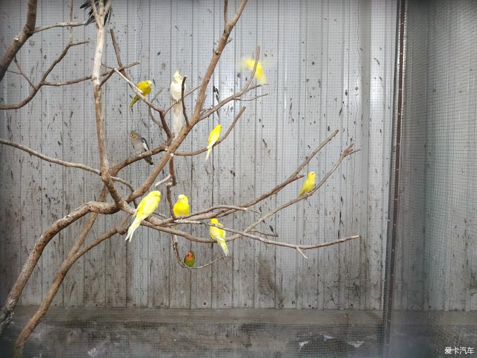  『色彩纷呈』【4月，你好】花花世界 色彩纷呈 赏心悦目