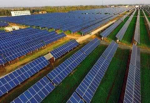  【钦佩】中国发电站放了几千只羊，却成功解决一世界级难题，西