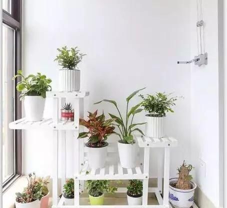  #花架#原来阳台还能这样种花, 一看就像个花园, 太漂亮了!