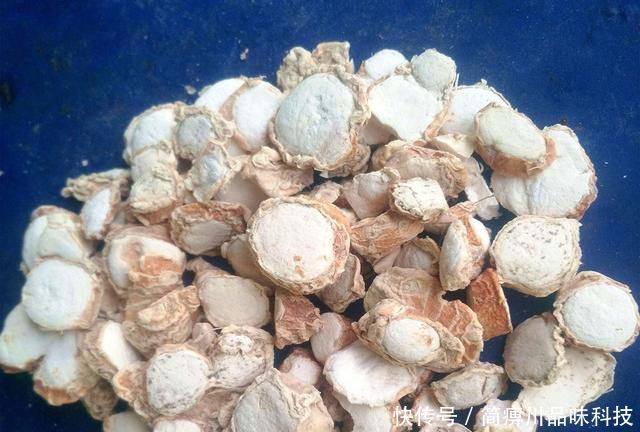 这款:每年三月份,我都用这款自制饵料钓鲤鱼,比买的饵料都好用