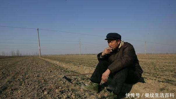  提前：农村土地改革，农民将会面临4个变化，大家要提前有打算！