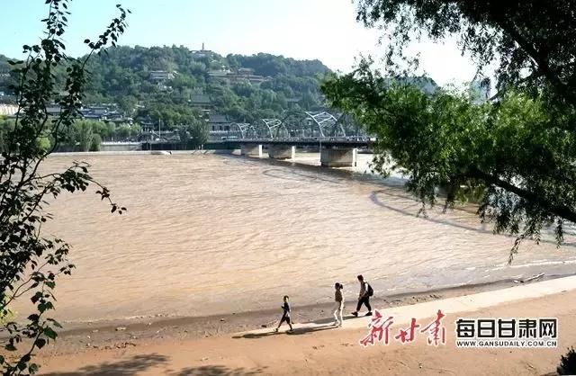 黄河水终于退了，岸边成了这样……