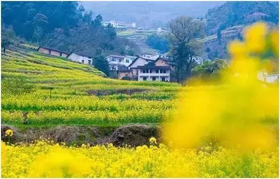 三月，去看中国最美春光